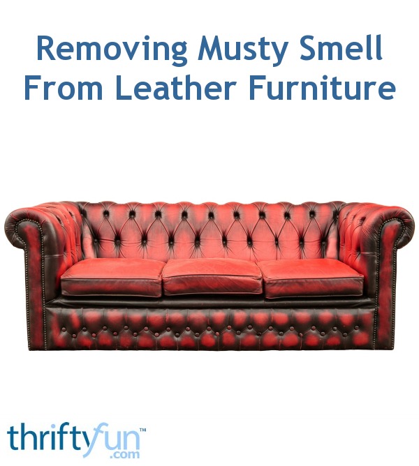 Removing Musty Smell From Leather Furniture Thriftyfun