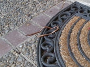 Small brown snake on door mat.