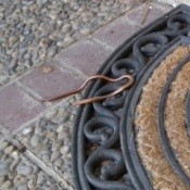 Small brown snake on door mat.