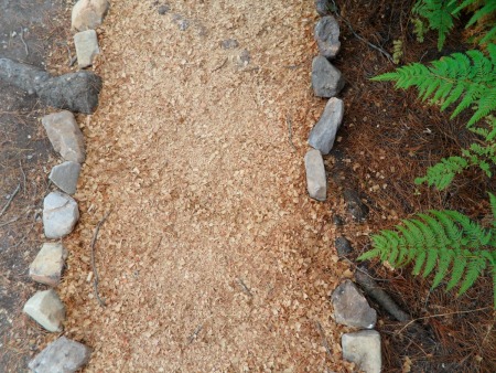 A pathway covered in sawdust.