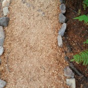 A pathway covered in sawdust.