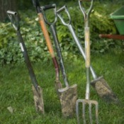 Several garden tools.