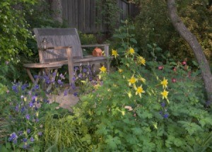 Shady Woodland Garden