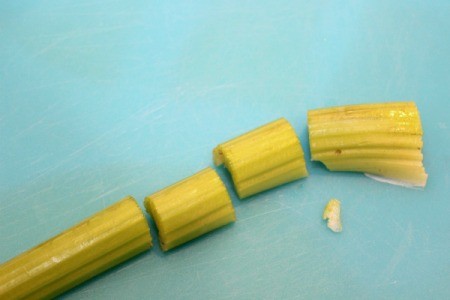 cut up celery