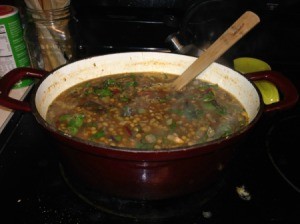 Italian Lentil and Swiss Chard Soup