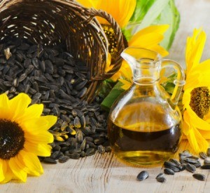 sunflower oil and seeds