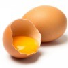 egg yolk in shell half