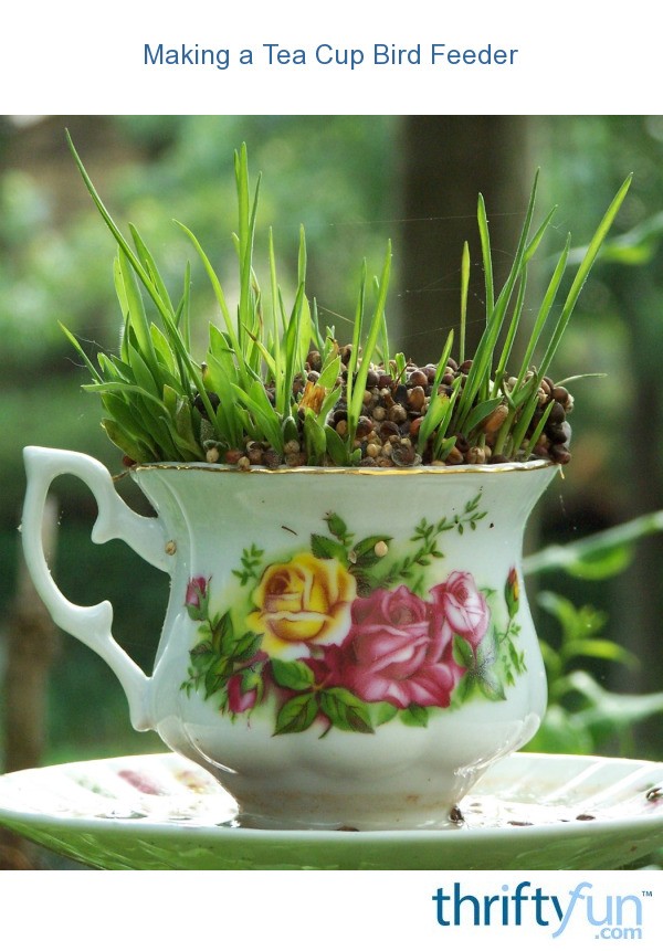 Making A Tea Cup Bird Feeder Thriftyfun