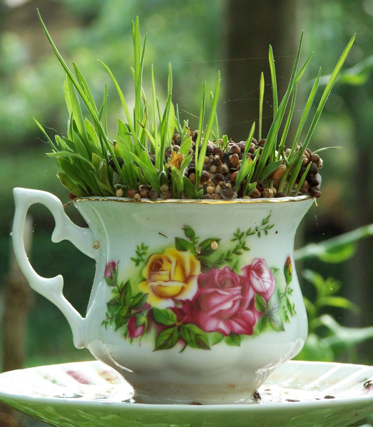 Making A Tea Cup Bird Feeder ThriftyFun