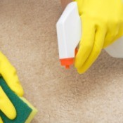 Photo of someone cleaning a paint thinner stain from carpet.