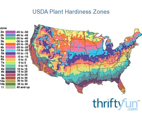 Image result for usda plant hardiness zones 2019