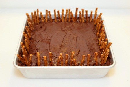 stick pretzel fence 2
