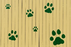 Paw prints painted on a fence.