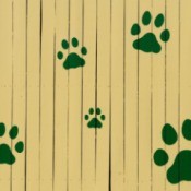 Paw prints painted on a fence.