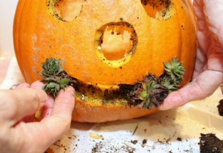 add plants for mouth 1