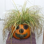 jack o lantern planter 1