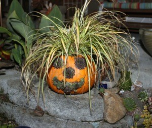 jack o lantern planter 2