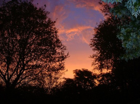 October Sunrise From My Garden