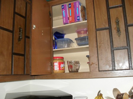 View of cabinet shelves.