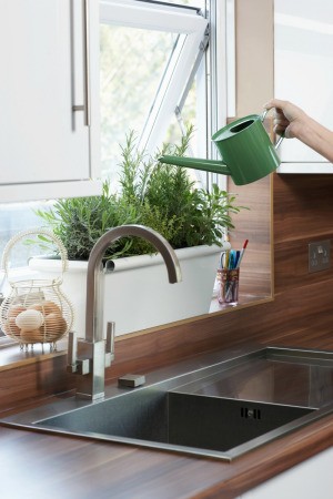 Watering a kitchen planter.