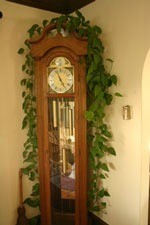 Let them rest, vine growing over a grandfather clock.