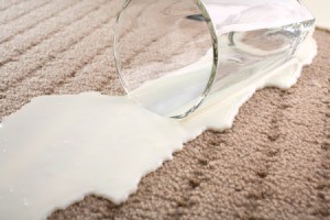spilled milk on carpet