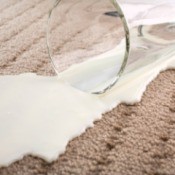 spilled milk on carpet