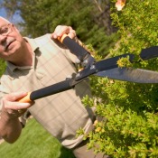 An older man trimming a bush with garden shears.