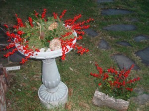 Cement birdbath and planter decorated for the season.