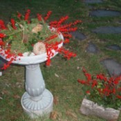 Cement birdbath and planter decorated for the season.