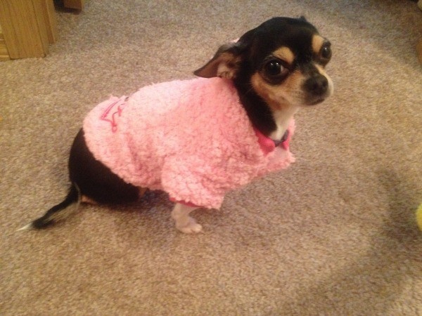 Bella in a pink coat.