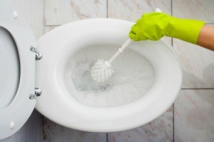 Cleaning a white toilet.