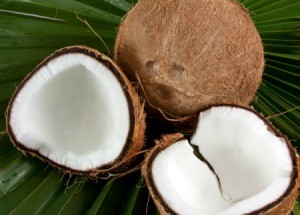 Fresh coconuts.