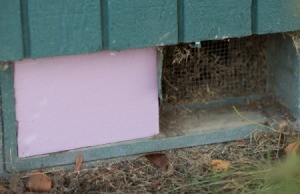 Insulating a Crawl Space