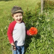 Little boy holding a red poppy.