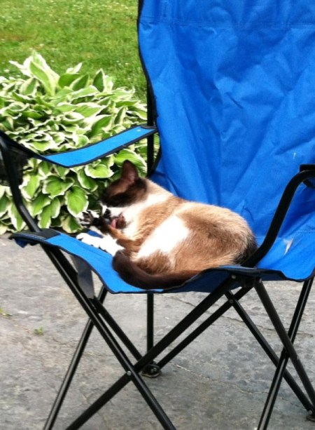 Annabelle on outdoor folding chair.