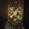Tree with brighter lights in center section.