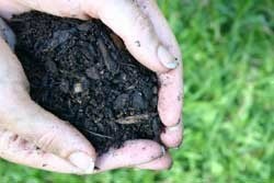 Hands holding soil.