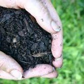 Hands holding soil.