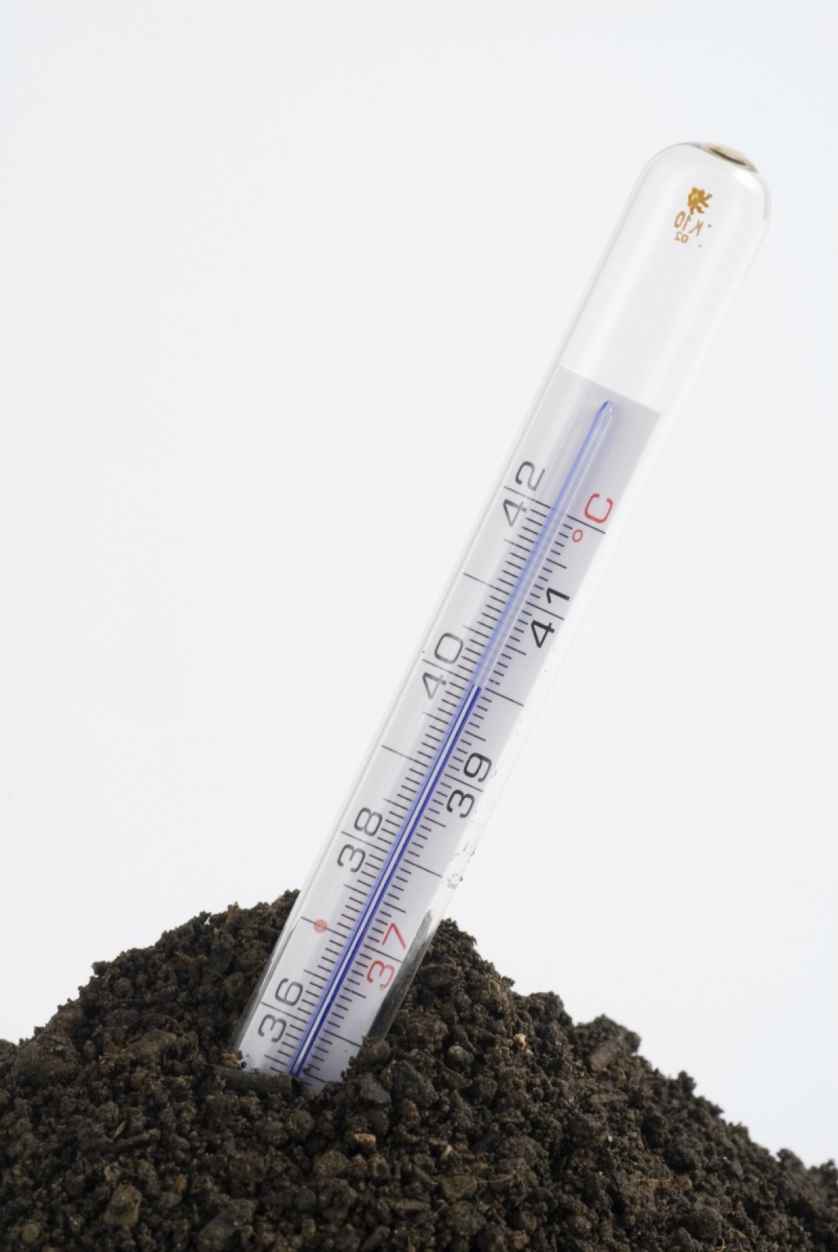 Soil Temperature Germination Chart