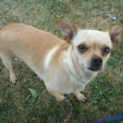 Lady outside looking up at camera.