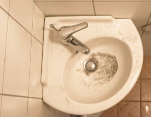 Hair in Sink After Shaving