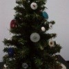 Tree decorated with buttons.