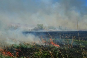 Nearby Wildfire