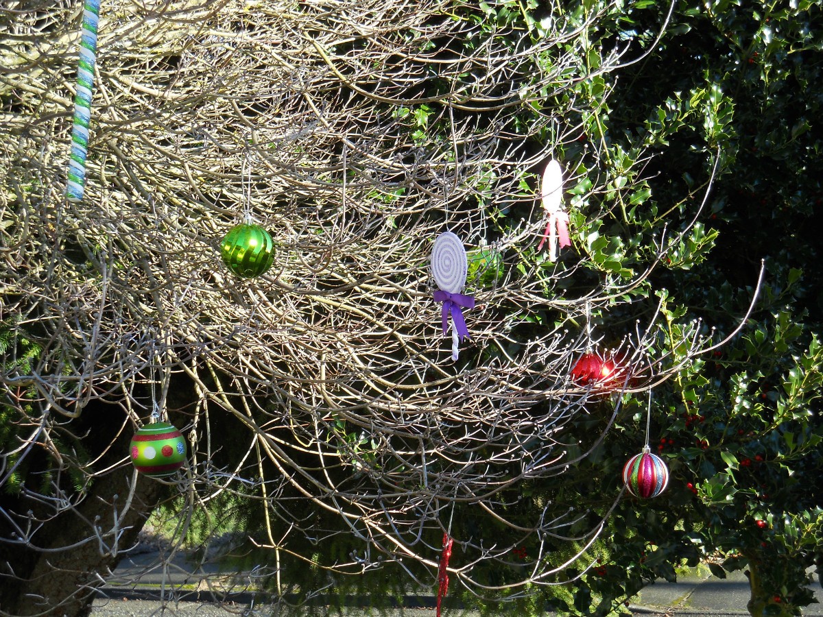 Decorating My Dogwood for Christmas ThriftyFun