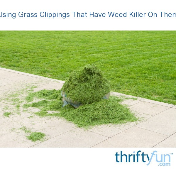 Using Grass Clippings That Have Weed Killer On Them? | ThriftyFun
