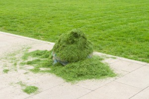 Grass Clippings On Sidewalk