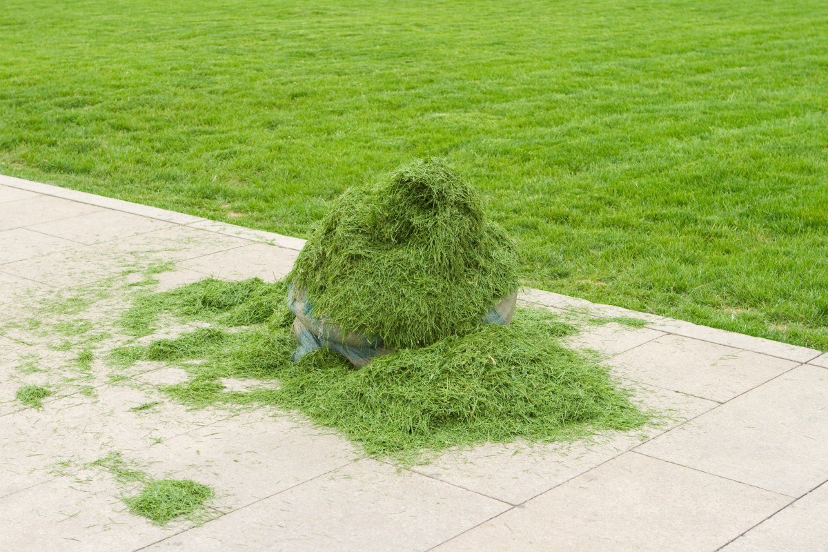 should i bag my grass clippings if i have weeds