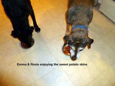 Dogs eating skins.