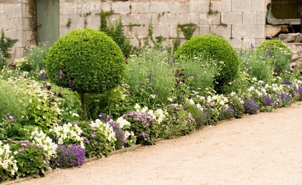 Garden Border Ideas | ThriftyFun